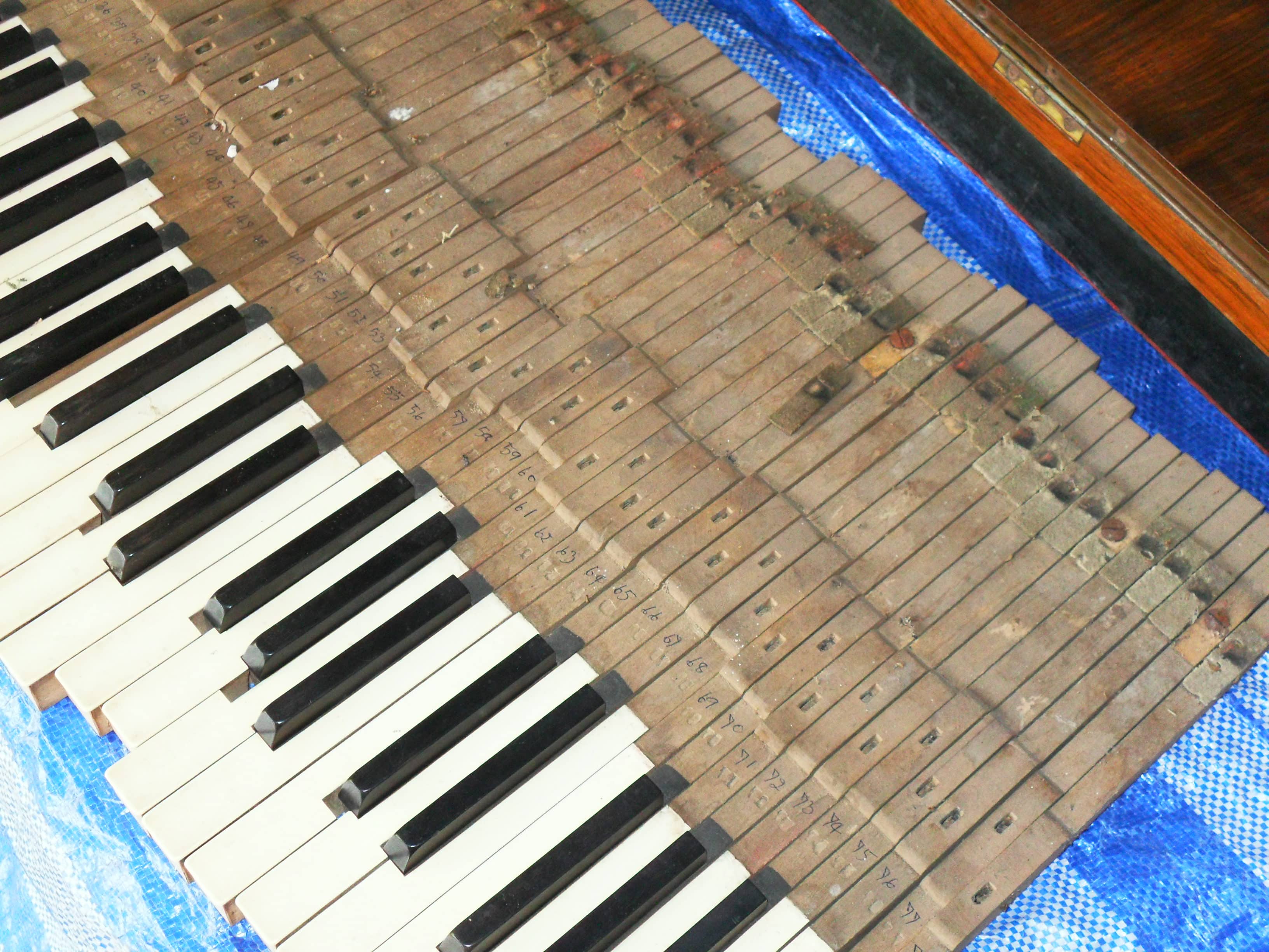 ซ่อมเปียโนในจังหวัดเชียงรายราคาถูกบริการดี