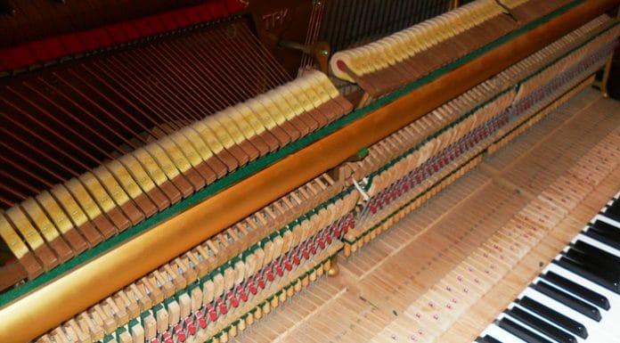 กำจัดเชื้อราที่เปียโนกับ 4 ขั้นตอนที่ทำเองได้ไม่ยาก กำจัดเชื้อราที่เปียโนกับ 4 ขั้นตอนที่ทำเองได้ไม่ยาก