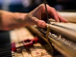 วิธีกำจัดมอด ตัวการทำเปียโนเสีย ที่ทำแล้วเห็นผลจริง วิธีกำจัดมอด ตัวการทำเปียโนเสีย ที่ทำแล้วเห็นผลจริง