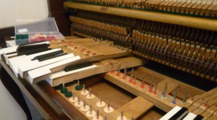 หัวฆ้อน HAMMER มีรอยสึก เป็นร่องลึก จะแก้ไขอย่างไรดี หัวฆ้อน HAMMER มีรอยสึก เป็นร่องลึก จะแก้ไขอย่างไรดี